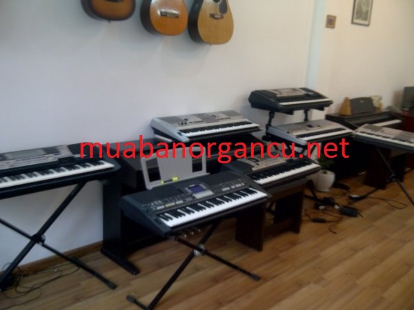Đàn organ yamaha PSR 2000 cũ